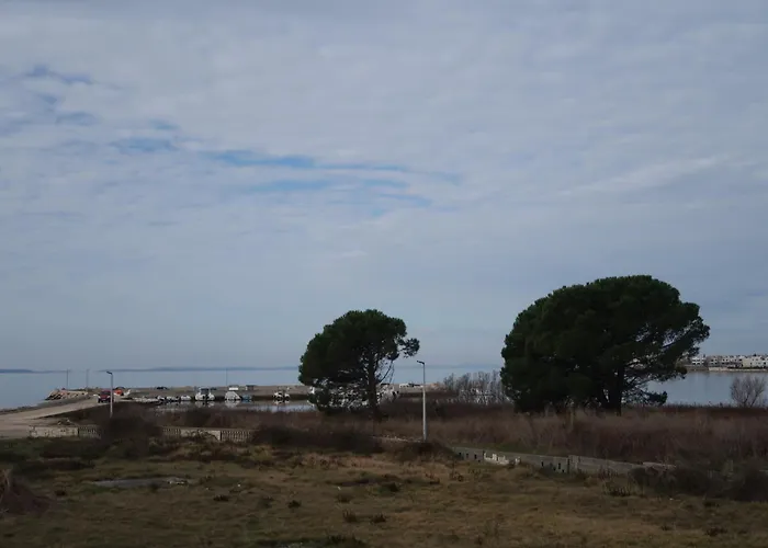 Prima *